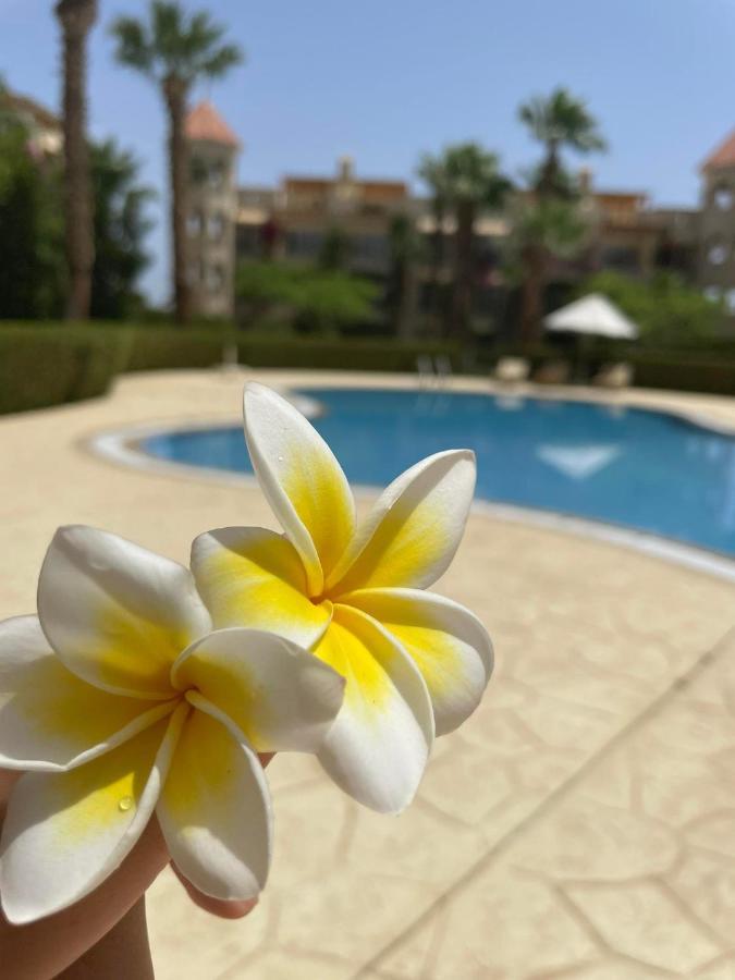 Apartman Veranda الغردقة المظهر الخارجي الصورة